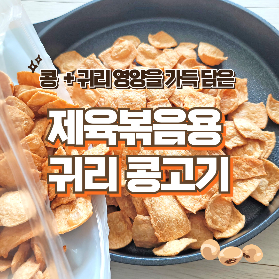 콩고기 돼지고기대용 귀리콩고기 400g